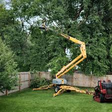 Reliable Greenfield, OH Tree Removal and Landscaping Services Solutions